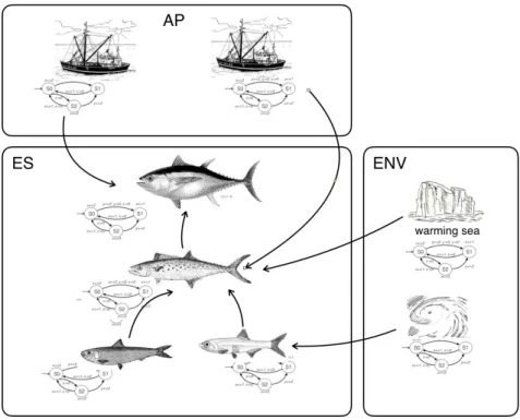 Figure 3.1 – Framework de mod´ elisation d’un ´ ecosyst` eme marin