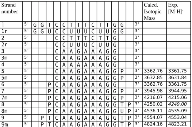 Table 1 Strand  number Calcd.  Isotopic  Mass Exp. [M­H] ­ 1 5' G G T C C T T T C T T G G 3' 1r 5' G G U C C U U U C U U G G 3' 2 5' C C T T T C T T G 3' 2r 5' C C U U U C U U G 3' 3 5' C A A G A A A G G 3' 3m 5' C A A G A A A G G 3' 4 5' C A A A A A A G G