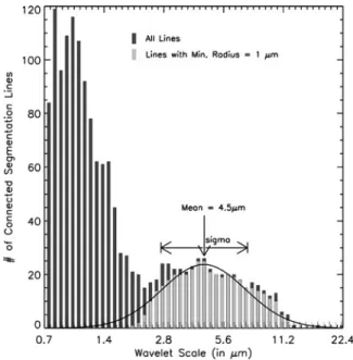 Fig. 2 Histogram of the number of connected segmentation lines as a function of the scale parameter a
