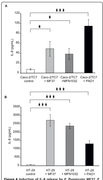 Figure 3 Effects of P. fluorescens MF37 (A), P. fluorescens MFN1032 (B) and P. aeruginosa PAO1 (C) on the morphological aspect of Caco-2/TC7 and HT-29 monolayers compared to a non-infected monolayer (D)