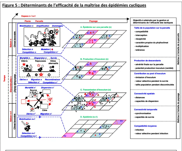 Figure 5 : Déterminants de l’efficacité de la maîtrise des épidémies cycliques