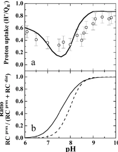 Figure 4   (a ) Prise de protons en reaction à la reduction de QB, calculée en considérant un équilibre conformationnel entre RCprox and   RCdist  pour   QB  and   QB -  (ligne   noire)