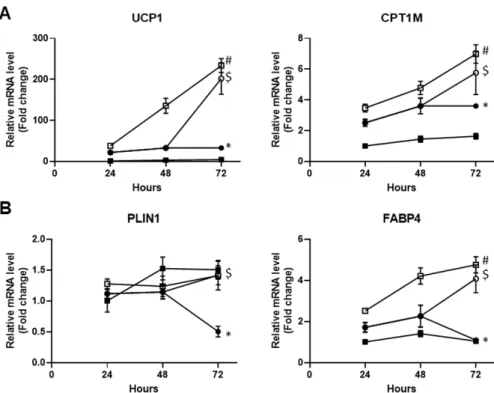 Figure 5. The CA inhibitory effect is normalized upon its removal. Conversion of white  hMADS  adipocytes (from day 14 to day 17) into brite adipocytes was induced with 100 nM rosiglitazone in  the absence () or the presence (●)  of  10  µM  CA  for  72  