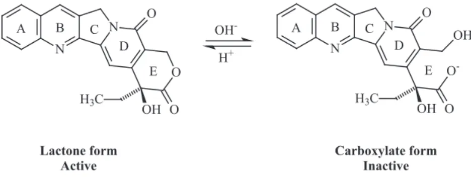 Fig. 1. Camptothecin structure and equilibrium between active lactone form and inactive carboxylate form.