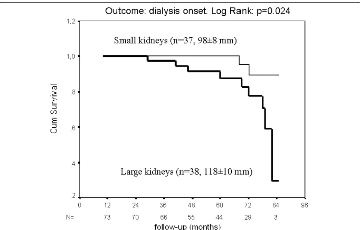 Figure 2 Survival curves of patients with diabetes and CKD, according to their initial kidney length (end-point: dialysis).
