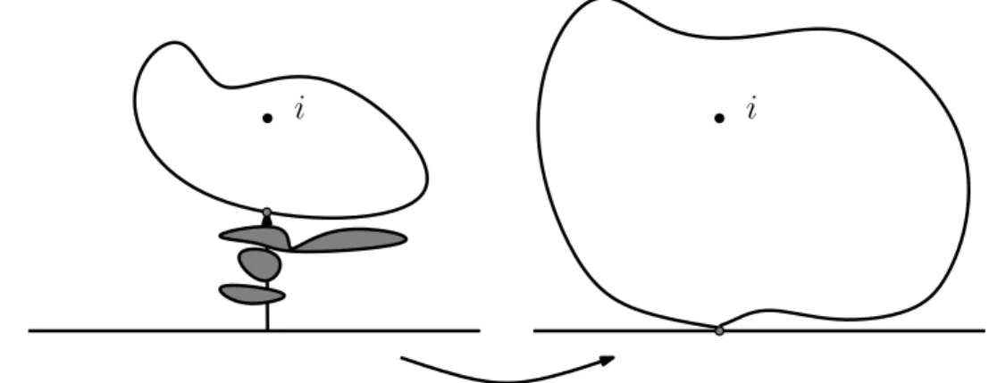 Figure 4: Description of P i (sketch).