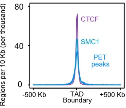 Figure 14. A meta-plot of binding site frequencies in a 500 Kb window around TAD boundaries