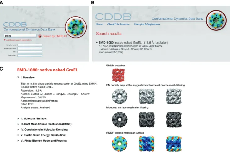 Figure 2. CDDB web interface. (A) A practical search interface is provided in the main page of the CDDB where users can search by EMDB ID or keyword