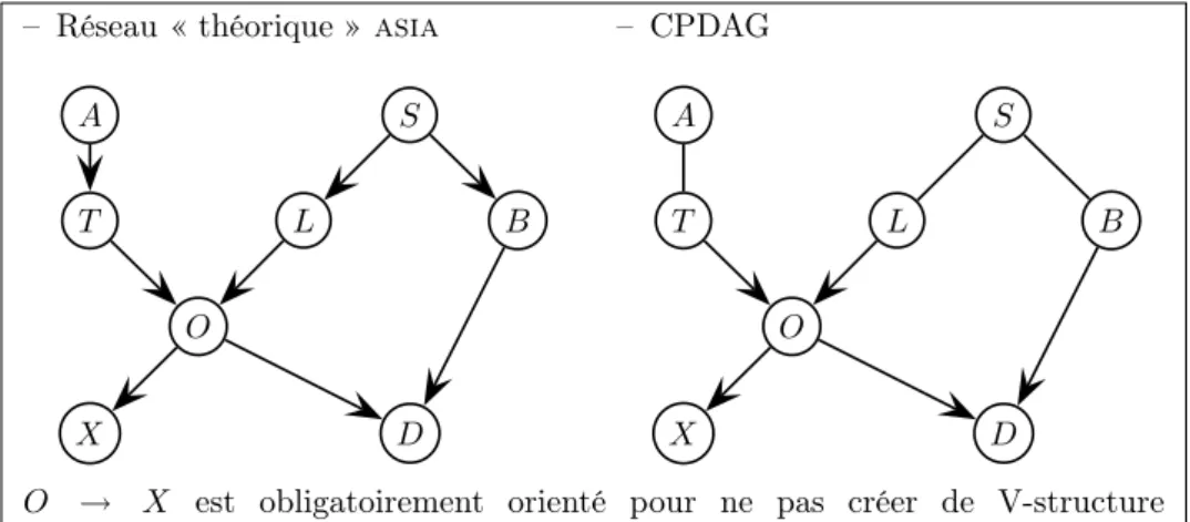 Tab. 3.1 – Exemple de réseau bayésien et son représentant dans l’espace des classes d’équivalence de Markov