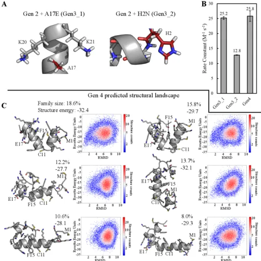Figure 4. Structure guided mutations enhance MP01-Gen2’s reactivity and broaden its predicted  structural landscape with lower overall structure energies compared to Gen1