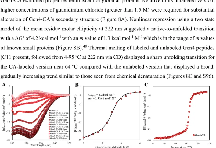 Figure 8. MP01-Gen4-CA displays increased stability relative to unlabeled MP01-Gen4. (A)