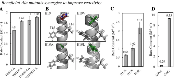 Figure 3.  A combination of alanine scanning and experimental guided mutagenesis enhanced  MP01’s reactivity