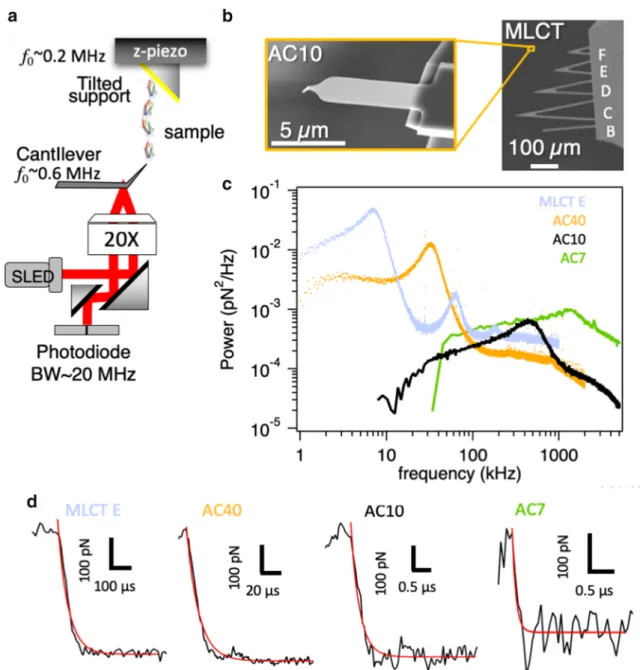 Fig. 1 High-speed force spectroscopy. a Example of HS-AFM setup for force spectroscopy