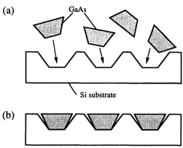 Figure  2-3:  Fluidic  self-assembly  of GaAs  blocks  onto  Si substrates.  (redrawn  from  [64])