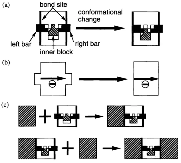 Figure  3-7:  One-dimensional  conformational  switch with  a  minus  device.