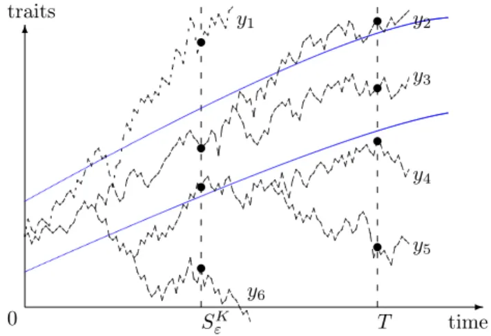 Figure 1.2.3 – Le compact K est la région entre les deux lignes pleines. Les trajectoires dessinées cor- cor-respondent au support de X T K 