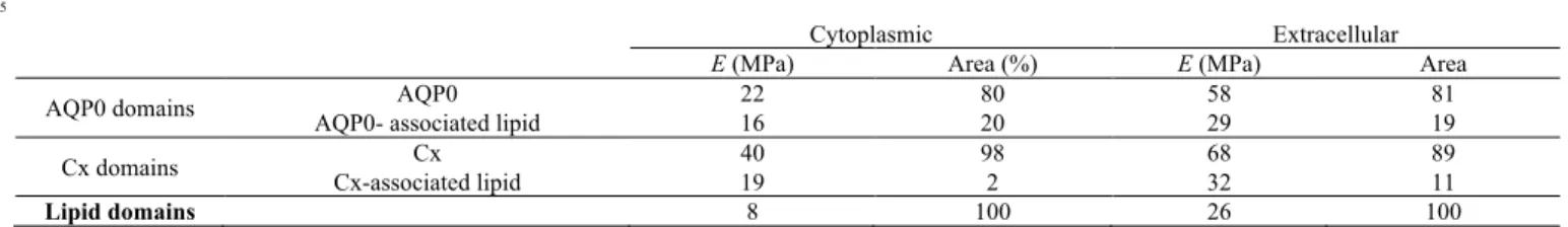 Table 1. Elasticity of individual proteins and protein-associated lipids. Young’s modulus (E) and relative areas obtained from bimodal Gaussian fits to  the stiffness distributions for extracellular and cytoplasmic domains presenting either only APQ0 or Cx