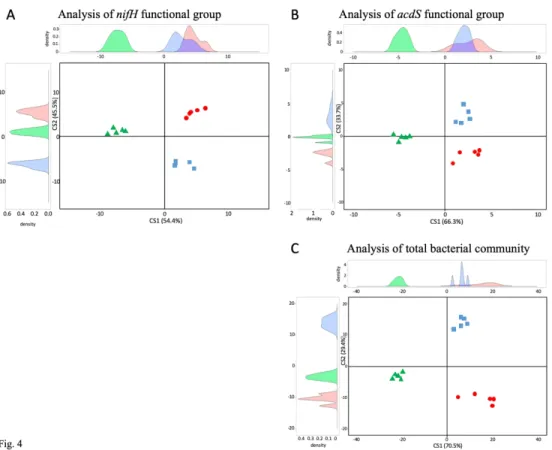 FIGURE 4. Comparison of nifH (A), acdS (B) and rrs (C) diversity between sites L, FC and C by between- between-class analysis