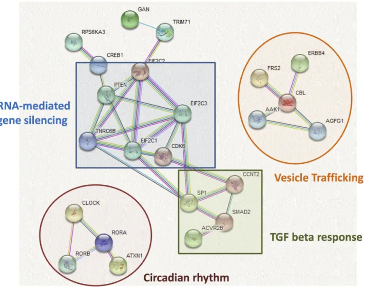 Fig 2. Protein-protein interactions between the 100 most targeted genes by the 299 miRNAs expressed in left atria from patients suffering from valvular heart disease