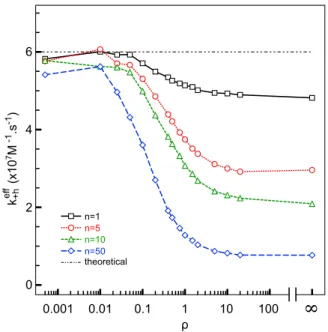 FIG. 1. A. Dose-response curves obtained in simulation for n=1 (no cluster, open squares), n=5 (clusters of 5 receptors, open triangles) and n=10 (open circles), all simulation  pa-rameters remaining equal (p +h = 0.1, p -h = 10 −4 )