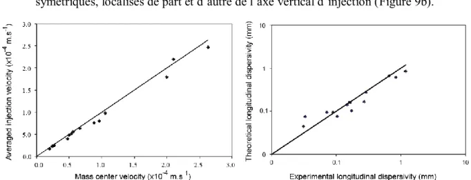 Figure 10. Comparaison entre (a) la vitesse de centre de masse et la vitesse radiale d'injection et (b) les  valeurs expérimentales et numériques de la dispersivité longitudinale