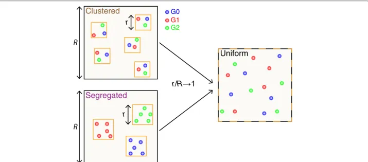 Figure 2 Spatial configurations of the genes in the individual-based model. This scheme illustrates the case G T = 5 in 2D