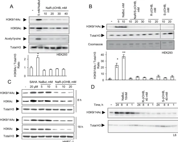Figure 1.  Effects of NaBut and  β -hydroxybutyrate molecules on histone acetylation in multiple cell types