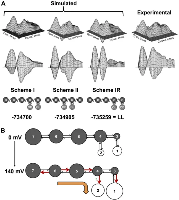 Figure  7.   Scheme  I  describes  the  single-channel  data  under  different  experimental  conditions