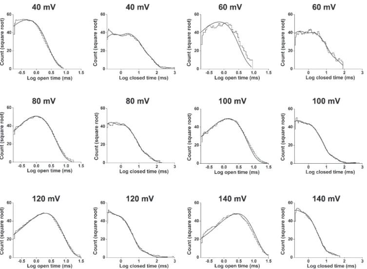 Figure 8.   Scheme I predicts the voltage dependence of the 1-D distributions at 20°C