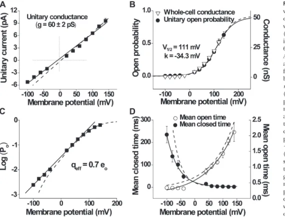 Figure  2.   Description  of  the  voltage-dependent  properties  of  TRPM8  single  channels  and  whole-cell  currents  at  20°C