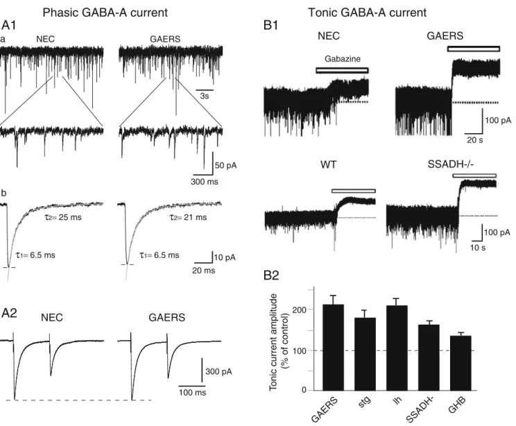 Fig. 3 Phasic and tonic GABAA inhibition in TC neurons in genetic and pharmacological models of typical absence seizures