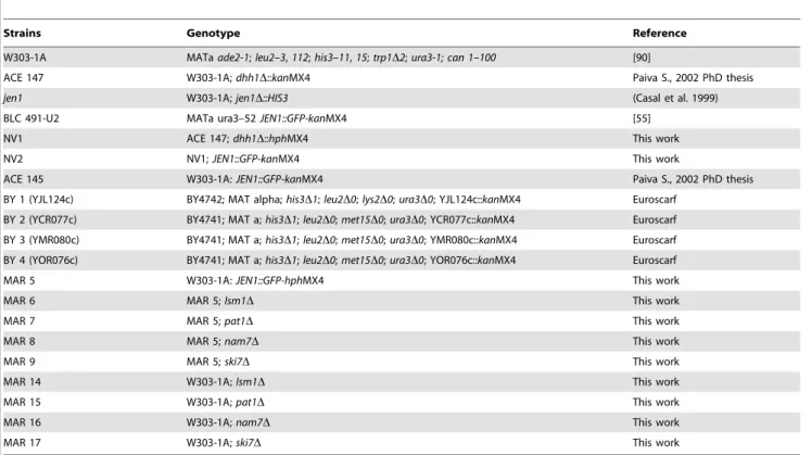 Table 1. S. cerevisiae strains used in this work.