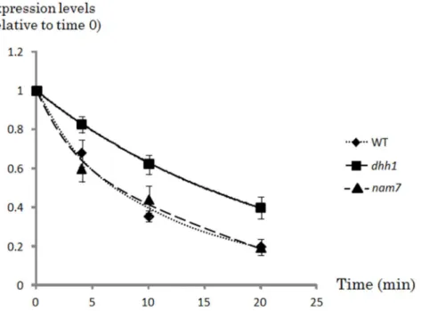 Figure 3. Real time quantitative RT-PCR analyses of JEN1 mRNA stability in YP lactic acid-grown wild-type, nam7 and dhh1 mutant cells