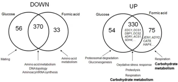 Figure 7. Transcriptome analyses of Dhh1 impact on gene expression. Venn diagram representing the overlap of down (left) and up (right) regulation effects in a dhh1 mutant, grown either in glucose or in formic acid