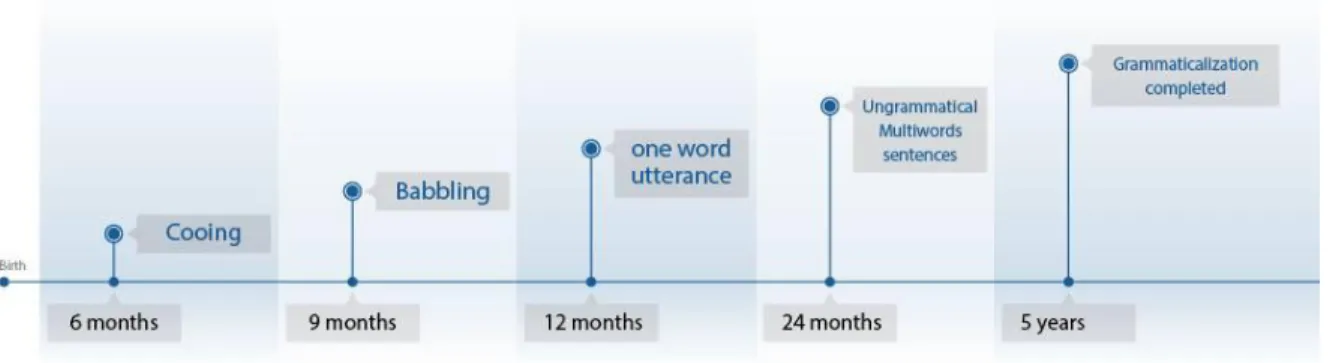 Figure 1.1 First Language Acquisition Stages 