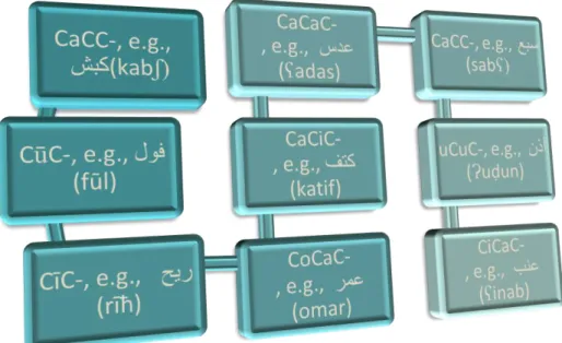 Figure 1.3 Some Arabic word forms. 