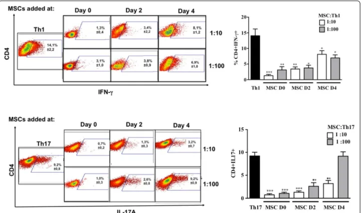 Figure 2 MSCs inhibit Th1 and Th17 differentiation depending on the stage of activation and cell ratio