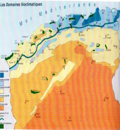 Figure 02 : Répartition du caroubier en Algérie suivant les domaines bioclimatiques  (A.N.R.H, 2004) 