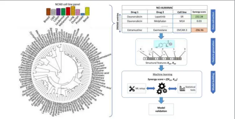 FIGURE 1 | Sketch of the workflow for drug combination modeling. Training data comes from NCI-ALMANAC, which comprises over 290,000 synergy measurements from pairs of 104 drugs tested on the 60 cell lines