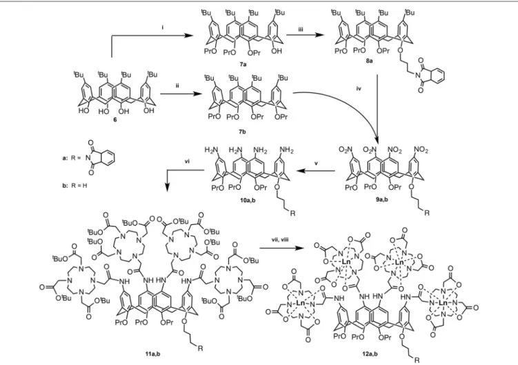 FIGURE 2 | Synthetic pathway for compounds 12a and 12b: (i) DMF, Ba(OH) 2 , BaO, propylbromide, RT, 1 day; (ii) DMF, NaH, propylbromide, RT, 5 days (Gutsche and Lin, 1986); (iii) DMF, NaH, N-(3-bromo)propylphthalimide, RT, 5 days (Lalor et al., 2007); (iv)