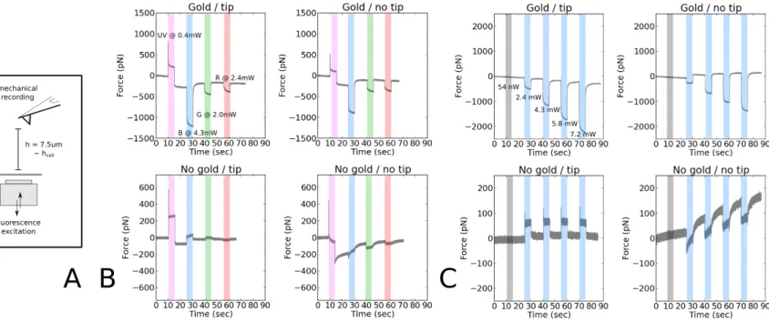 Figure 1 : Observation of the AFM / fluorescence coupling signal. 5sec fluorescence excitation was used at different wavelengths, with a MLCT large triangle lever with or without gold, with or without tip