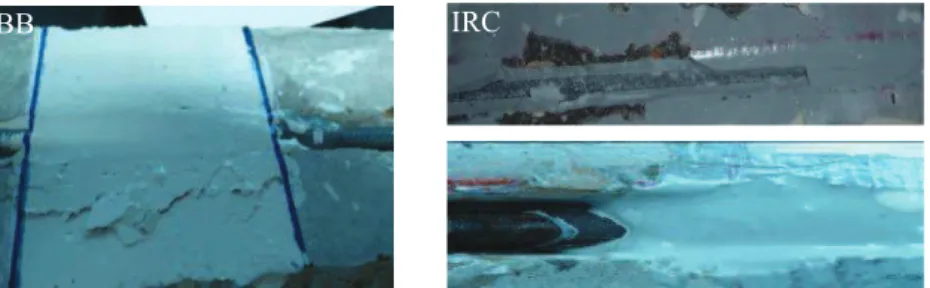 Figure 5. Modes de rupture de l’adhérence renfort / matrice. 