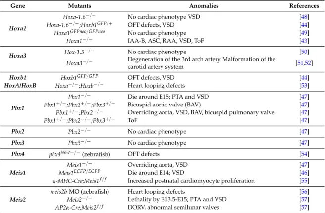 Table 1. Cardiac phenotypes associated with Hox, Pbx, and Meis loss-of-function.