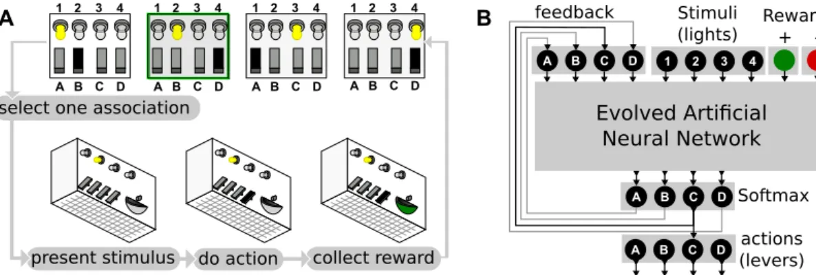 Fig. 2. A. Concept of the “Skinner box”. A caged animal must learn to associate stimuli (here lights) to actions (here pushing a lever).