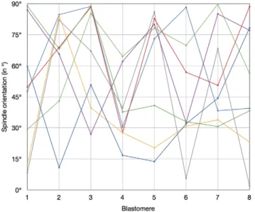 Figure 4. Orientation of the eight mitotic spindles in 8-cell stage mouse embryos. Each colour corresponds to a given embryo.