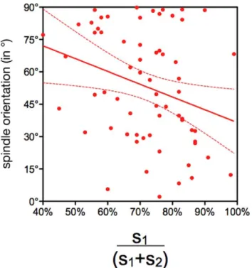 Figure 9. Blastomere bulging during mitosis influences spindle orientation. Correlation between spindle orientation (Y axis) and the blastomere bulging index (S1/(S1+S2); X axis).