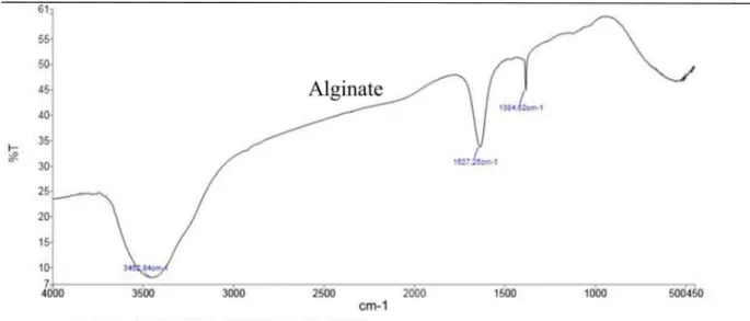 Figure V.2: Spectre infrarouge  de l’alginate de sodium 