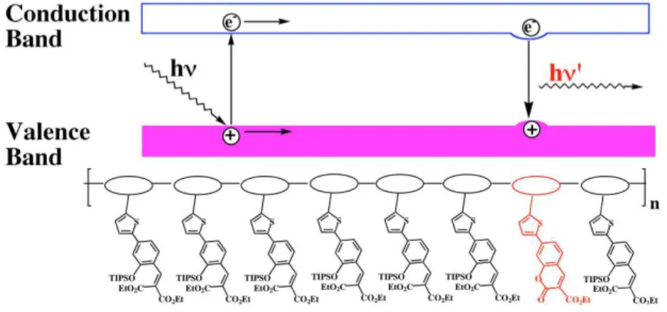 Figure 5. Schematic band diagram showing how an exciton migrates along polymer 33 until 