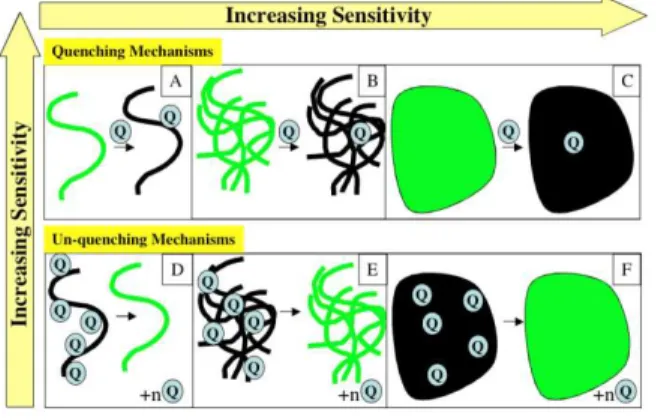 Figure  2.  Effect  of  dimensionality  on  (un)quenching  mechanisms.  Quenching  mechanisms  are by nature more sensitive than unquenching mechanisms (a single quencher can affect the  properties  of  a  larger  fluorophore),  whereas  higher-dimension  
