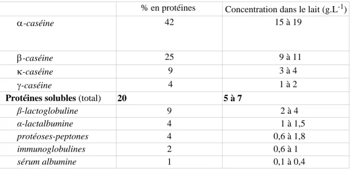 Tableau III : Composition en protéines du lait de vache [6]. 